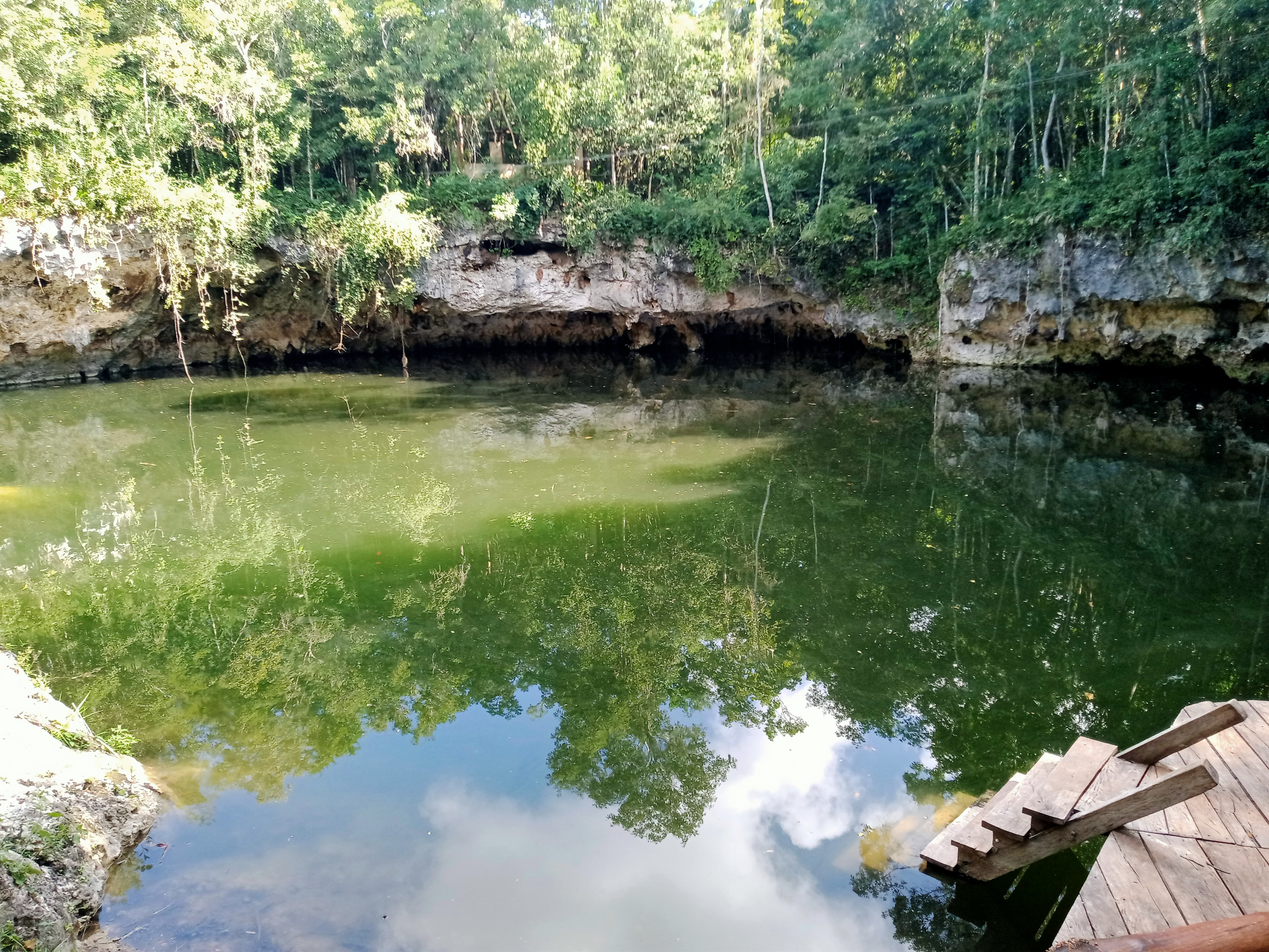 Cenote abierto con muelle de madera y reflejo de árboles en el agua