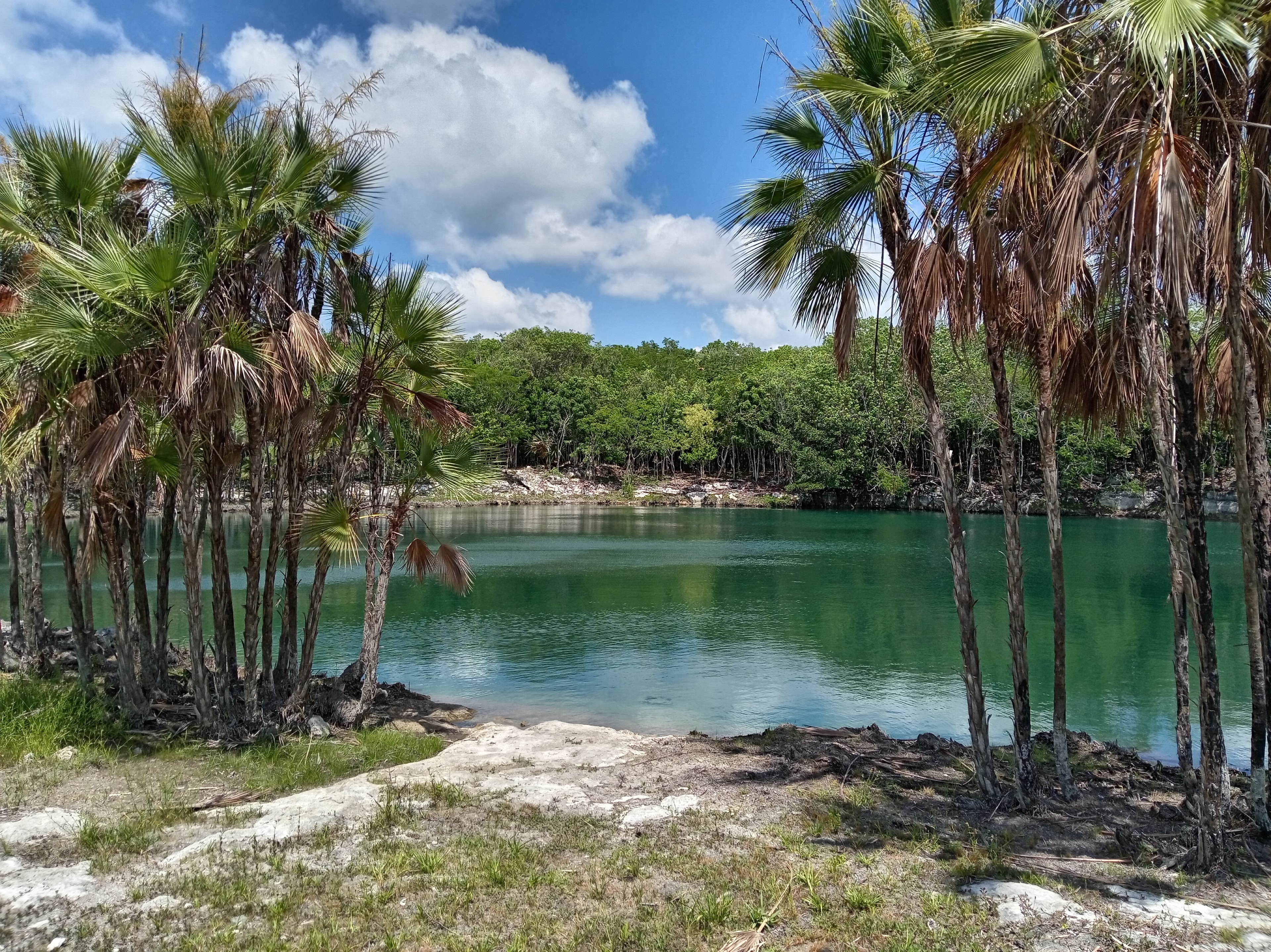Laguna Juárez con agua turquesa rodeada de palmeras — Quintana Roo