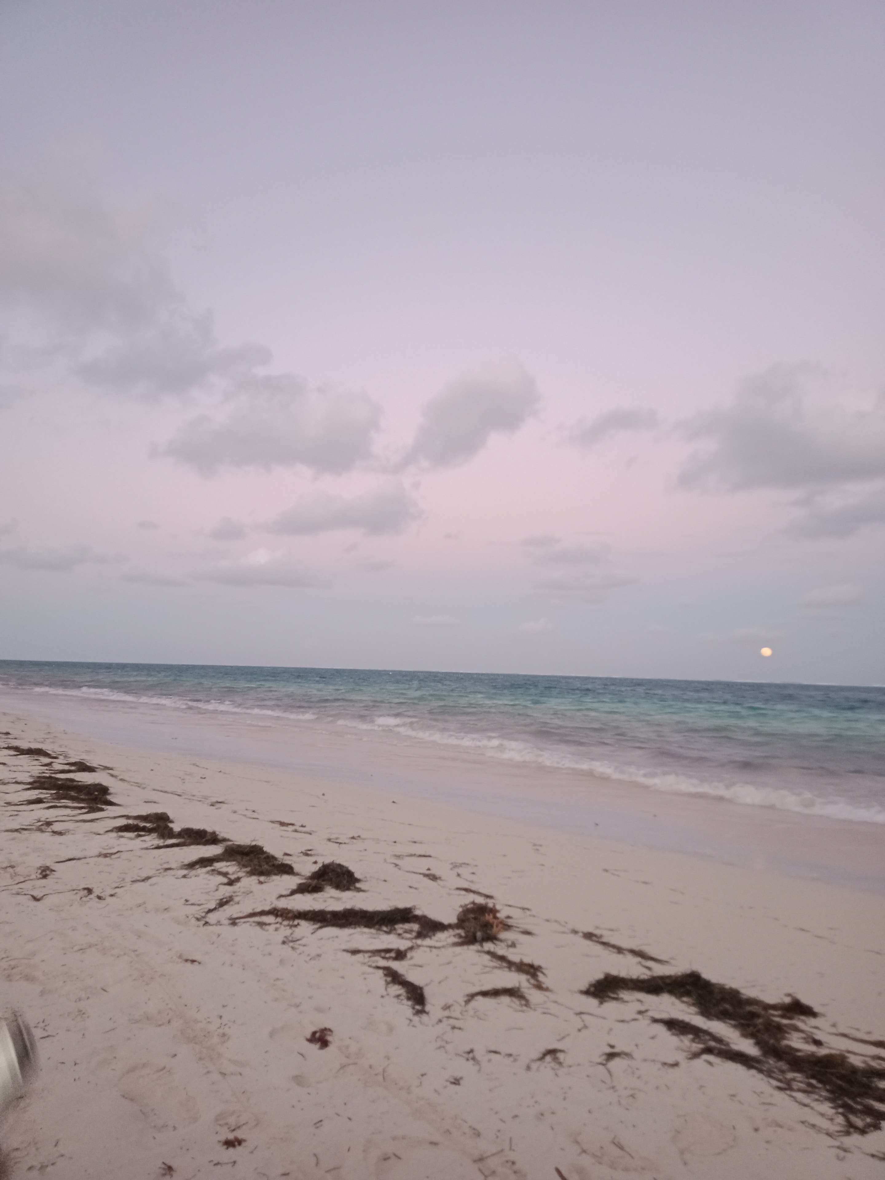 Playa al atardecer con luna — Puerto Morelos